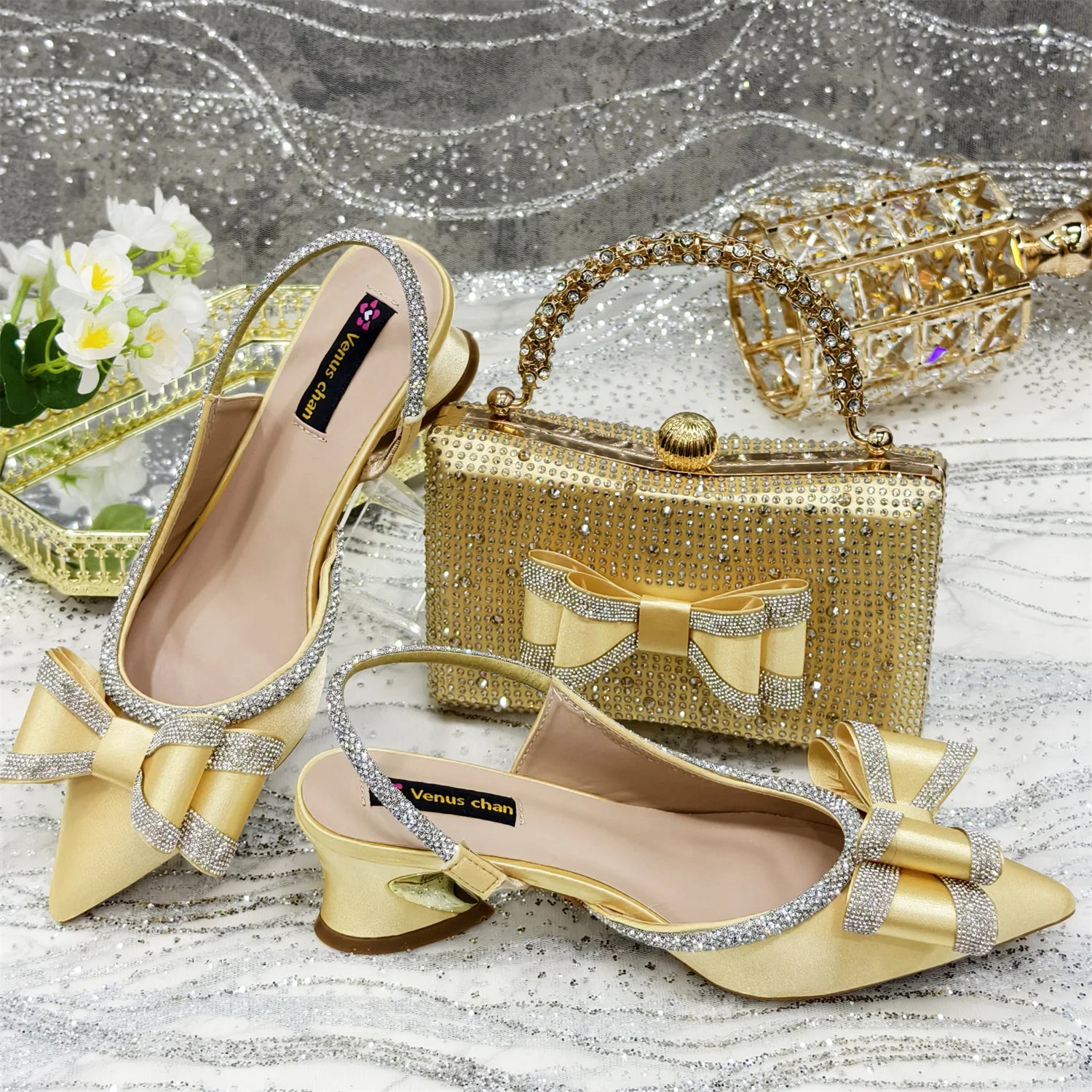 Italian Design Style Shoes with Bag Set