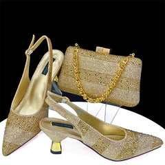 Evening Party Shoes and Bag Set