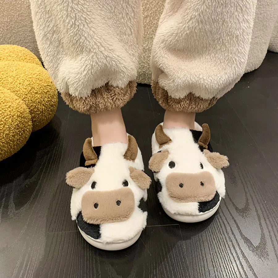 Winter Women Slippers for Home