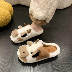 Winter Women Slippers for Home