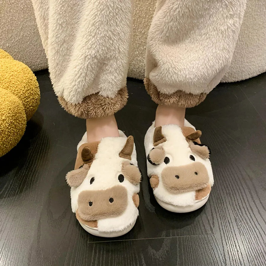 Winter Women Slippers for Home