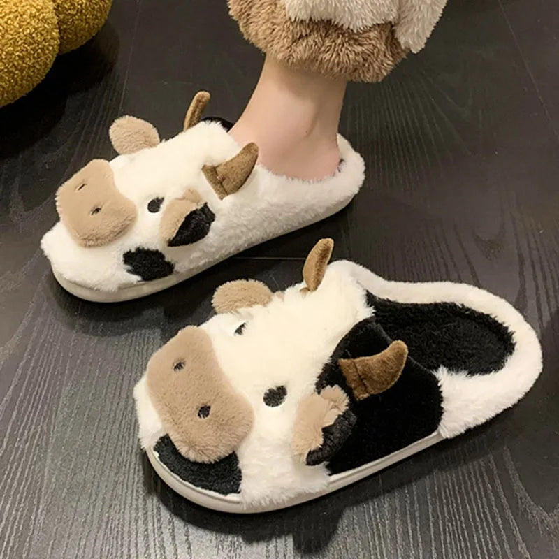 Winter Women Slippers for Home